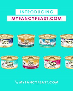 With the NEW My Fancy Feast, you choose the flavors your cat knows and loves. | Purina Fancy Feast