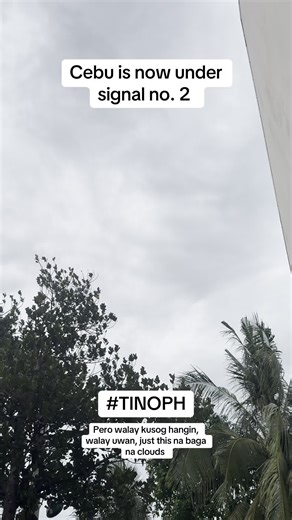 Understanding Signal No. 2 Weather Alerts in Cebu