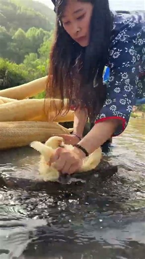 Women Farmers at Work | Harvesting Giant Sponge Gourd Using Old Farming Techniques Taseall.