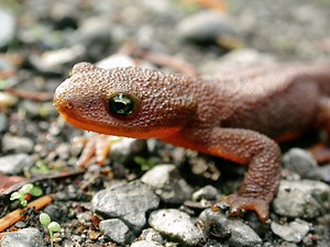 About Project Watershed - Project Watershed