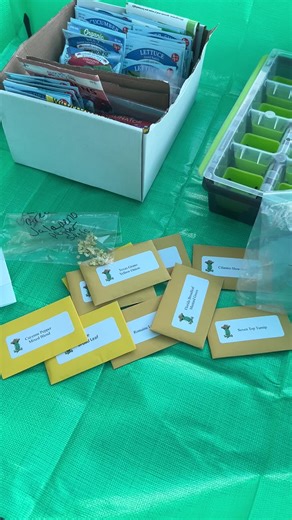 Fall Crops Planting Guide for Garden Enthusiasts