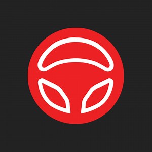 Anyone mount SunPass Mini Transponder on the Model 3...