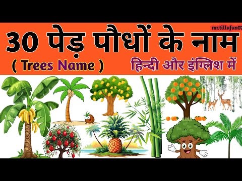 30 Trees Name in English and Hindi | पेड़ों के नाम | Learn Tree Names with Fun! 🌳 | Trees Name #kids