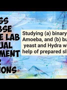 CLASS 10 // CBSE // SCIENCE LAB MANUAL // EXPERIMENT 12 // SOLUTIONS