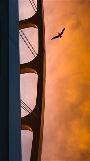 Mastering Shutter Speed for Stunning Photos