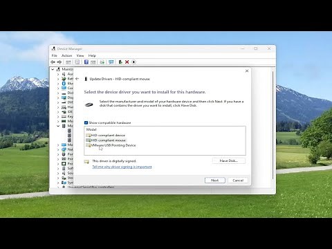 External USB Mouse Doesn’t Work on Windows Laptop [Solution]