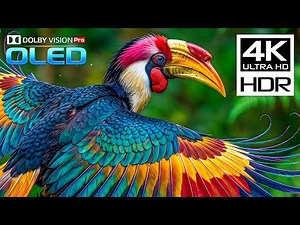 The Coolest 4K HDR 120 FPS | Amazing Dolby Vision 4K Video | 8K TV Video