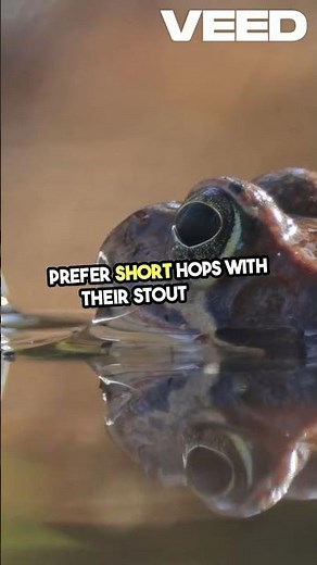 Frogs vs Toads Key Differences Explained! #amazing