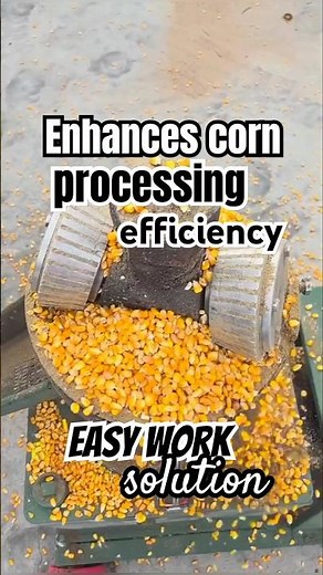 The Secret to Successful Farmers! High Performance Corn Milling Machine