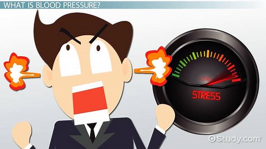 Blood Pressure Lesson for Kids