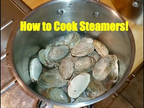 How to Cook Steamers: A.K.A. Softshell Clams, A Super Easy Recipe