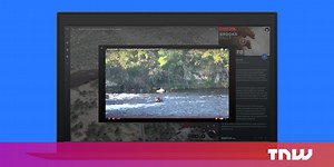 Google Earth adds live video feeds for watching natural wonders in real-time
