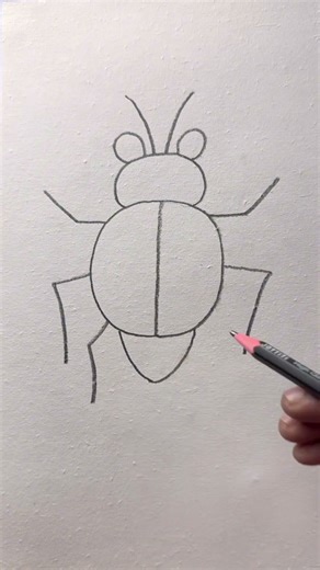 How to draw a bee with D