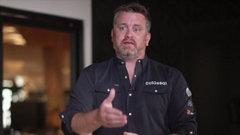 A comeback 13,000 years in the making: De-extinction company breed three dire wolves