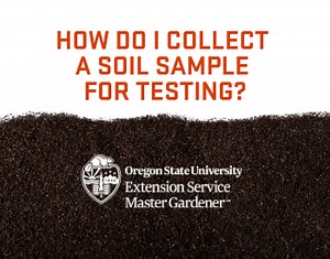 How do I collect a soil sample for testing?