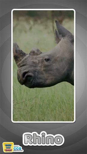 What Does a Rhino Say? 🦏🎶 | Learn Animal Sounds | Educational Video for Kids