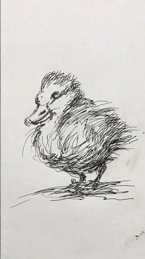 Step-by-Step Guide to Duck Pencil Sketching
