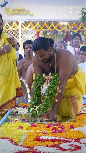 Cakra Snanam 2025 ✨ Sacred Purification Ritual at Hare Krishna Golden Temple #cakrasnanam