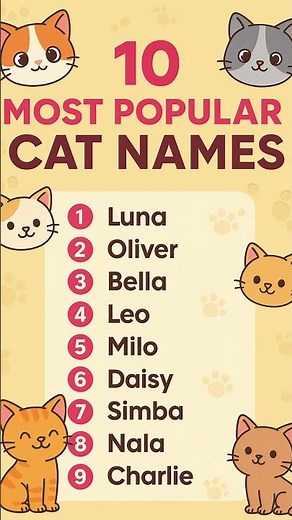 10 Most Popular Cat Names | Cute & Famous Cat Name Ideas for Your Pet