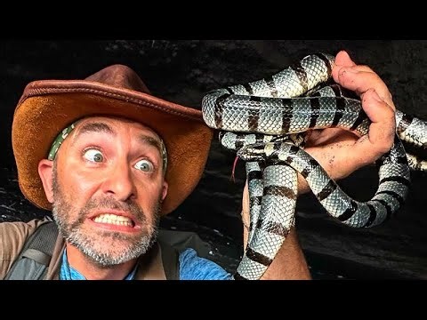 Holding the World's Deadliest Sacred Snake!