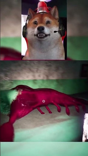 Banban terbaru #roblox #gartenofbanban #banban4 #banban8 #robloxindonesia