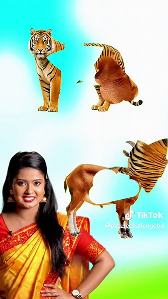 Tiger and Goat Pairing Puzzle Game