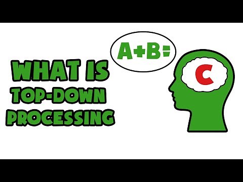 What is Top-down processing | Explained in 2 min