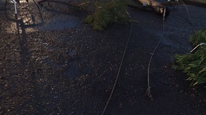 STORM SAFETY: Storms can damage the electricity network and cause large trees to fall on live wires. If you see fallen powerlines always assume they’re live, never approach them, stay at least 8metres away and call Ausgrid immediately on 131388. | Ausgrid