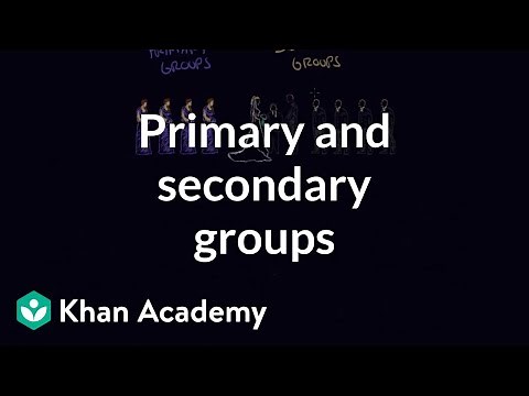 Primary and secondary groups | Individuals and Society | MCAT | Khan Academy