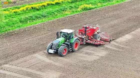 Precision planting for vining peas