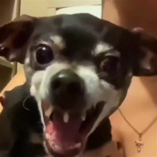 FREE FIRE COMEDY VIDEO 😜⚡🆒 #freefire #shorts