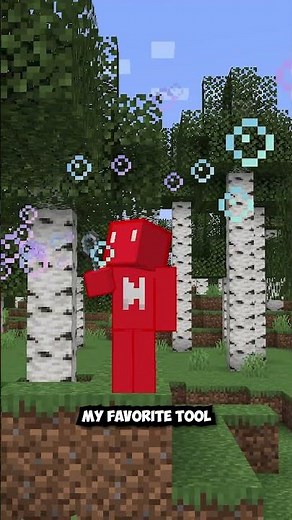 A Mod That Adds Your Random Ideas to Minecraft | Mod is Supplementaries