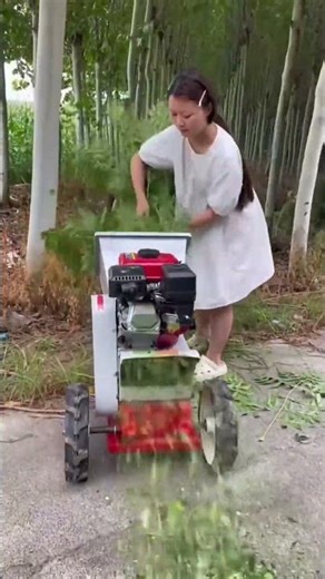 🌿 From Tree to Animal Fodder