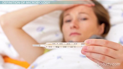 Microbiology | Definition, Branches & History