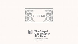 11K views · 468 reactions | 量 1 Peter gives us marching orders for living in a world that is increasingly hostile to our faith. | Paul David Tripp | Facebook