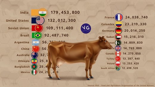 152K views · 981 reactions | Countries with the Largest Population of Cows in the World. Source: FAO. | VGraphs | Facebook
