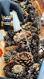 599K views · 3.1K reactions | From forest floor to fabulous furniture! | LADbible Ireland | Facebook