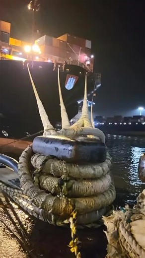 Working at the Hamburg Port: A Glimpse Into Ship Mooring and Maritime Life