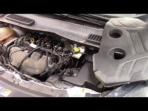 P1450 EVAP Code $1000 Parts Cannon Still No Fix!