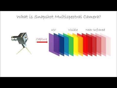 Multispectral Camera Technology