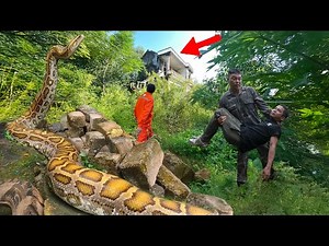 Unexpected Danger! Giant python hiding in abandoned villa makes everyone shocked. Clean up