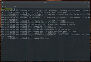 How to install Tor for Chrome for even more private browsing - TechRepublic
