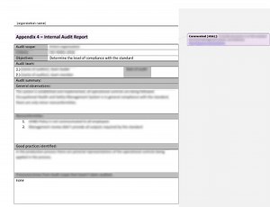 Internal Audit Report [ISO 45001 documents]