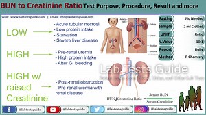 BUN Creatinine Ratio | Lab Tests Guide