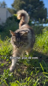 Testé et approuvé par plus d'un million d'animaux de compagnie !  Merci Clémentine d'avoir partagé ton expérience avec nous ! Profitez de -20% sur votre première commande avec le code ROXE20 ✔ Viande ou poisson frais ✔ Zéro sucres ajoutés ✔ Recettes sans céréales | Edgard & Cooper | Facebook