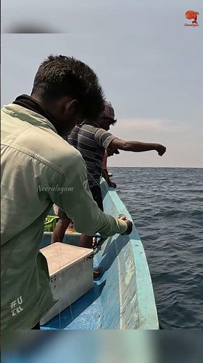 Fishing in the Deep Sea #fishing #fishingvideo #fishingtime