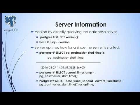Exploring PostgreSQL with psql: Learn to Navigate and Query Your Database