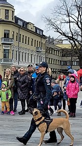 15K views · 106 reactions | Saugaus eismo dienos akimirkos.  | Kauno savivaldybė | Facebook