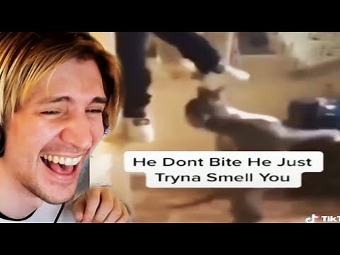 ACTUALLY FUNNY TIKTOKS