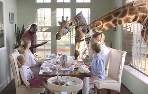 Top 20 Weirdest Hotels!